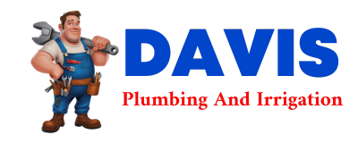 Trusted plumber in AUSTINBURG